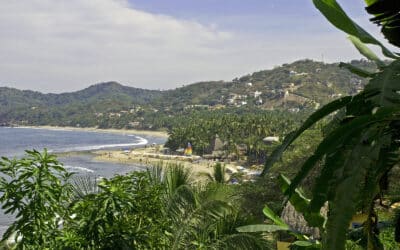 Kovay Gardens Reviews Sayulita