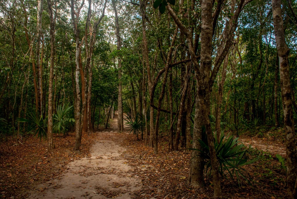 Kovay Gardens Reviews Explores Playa Sayulita 3