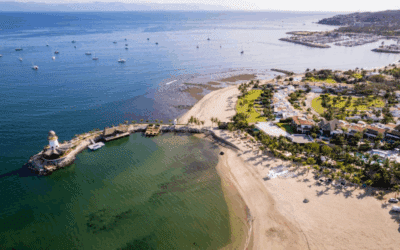Member Reviews Shine a Light on the Tranquility of Kovay Gardens
