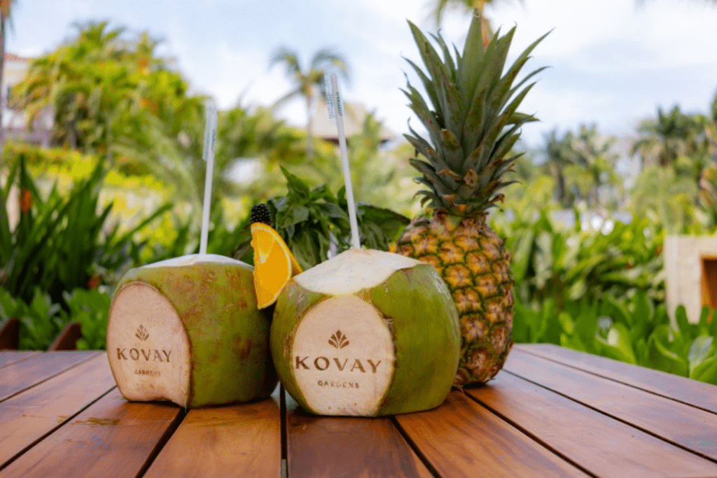 Reviews A Hidden Gem on the Bay Kovay Gardens in Nayarit (2)